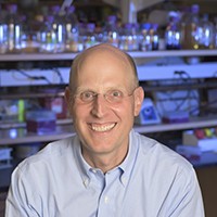 Headshot of Columbia Trustee Jonathan Rosand: Man with wire glasses in a light blue collared shirt.