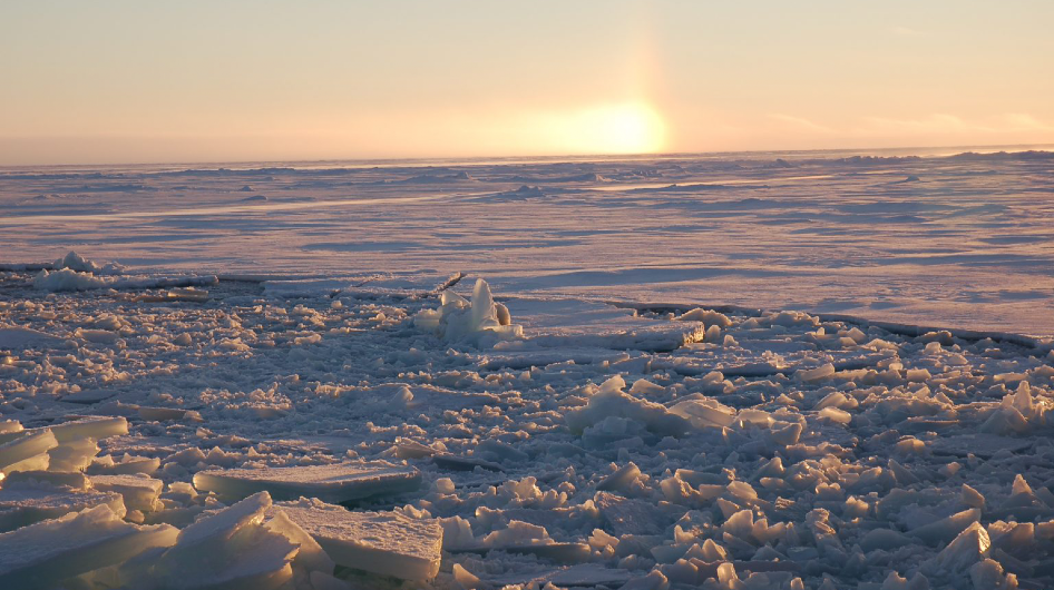 Sea ice north of the Canadian Arctic Archipelago. This photo was taken from an ice breaker just outside the projected Last Ice Area, which is almost impossible to navigate by ship. (Robert Newton/Lamont-Doherty Earth Observatory) Arctic sea ice north of the Canadian Arctic Archipelago