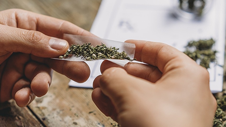 A person rolls a marijuana cigarette.