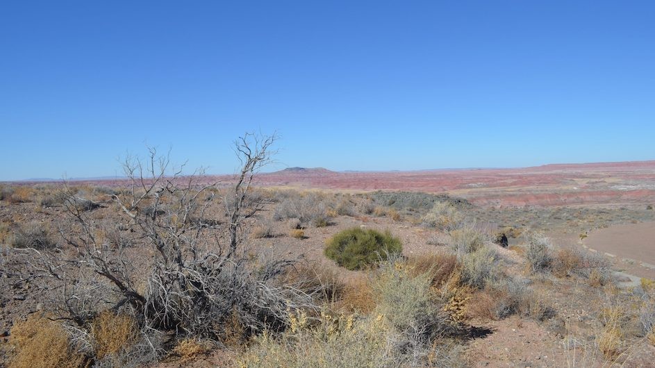 The desert in the U.S. Southwest