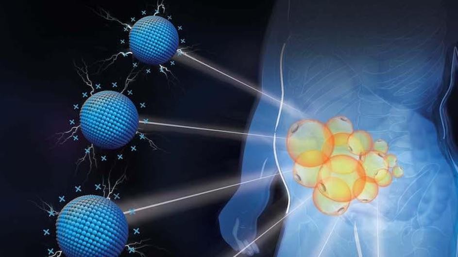 An illustration of a new method that researchers have used to target fat cells.