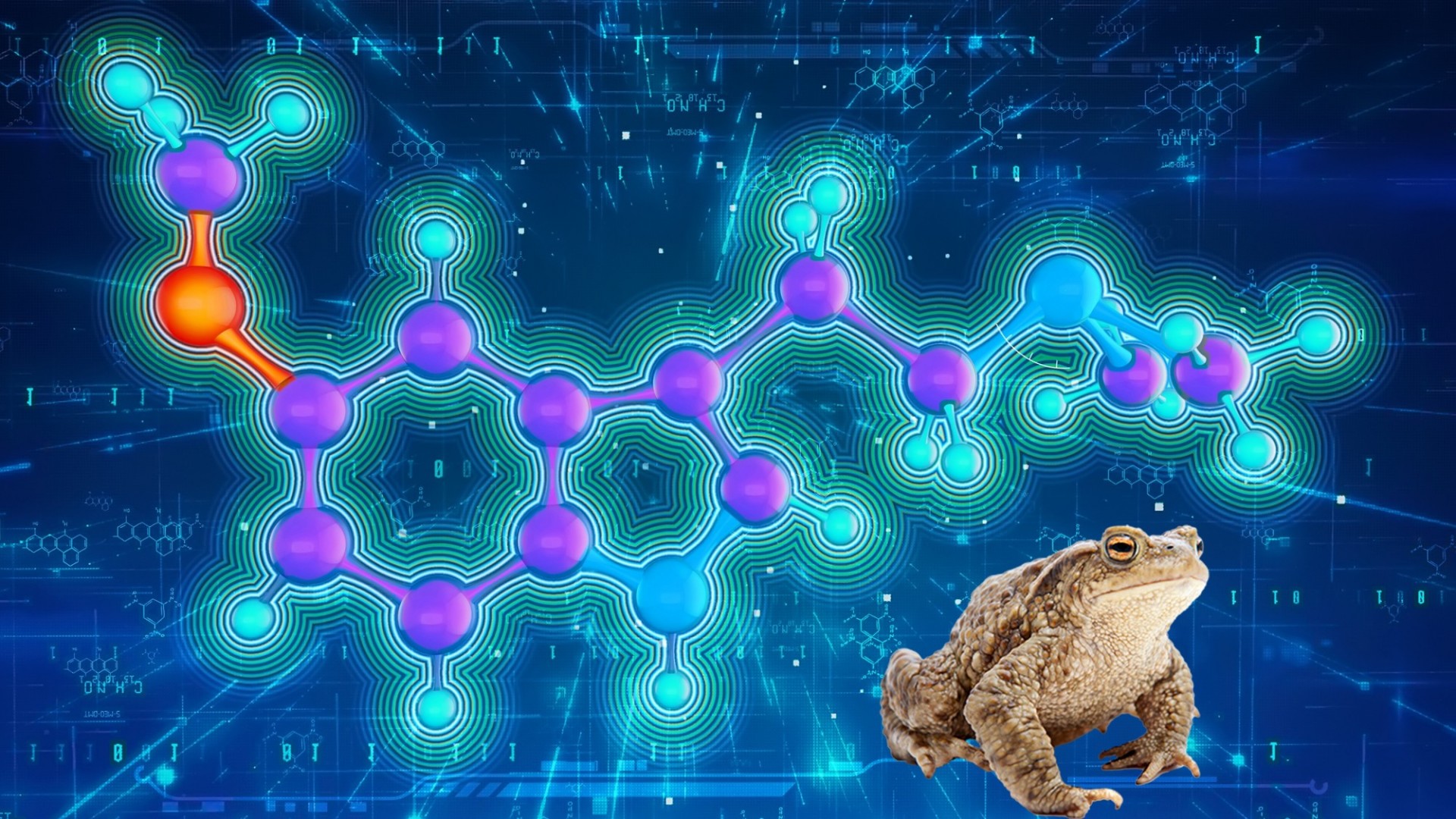 Illustration of a Colorado River toad in front of the psychedelic 5-MeO-DMT molecule that its body produces (credit: David Lankri from Hintau Aliaksei images. [Toad/Shutterstock and Molecule/Adobe Stock])