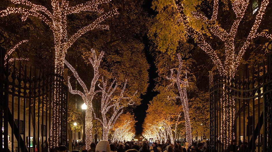 The annual College Walk lighting in early December 2022. Photo by April Renae/Columbia University holiday lights on College Walk