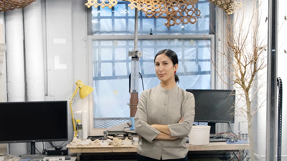 Lola Ben-Alon in the Natural Materials Lab, which she directs, where she is surrounded by the tools of her trade. Columbia University Professor Lola Ben-Alon