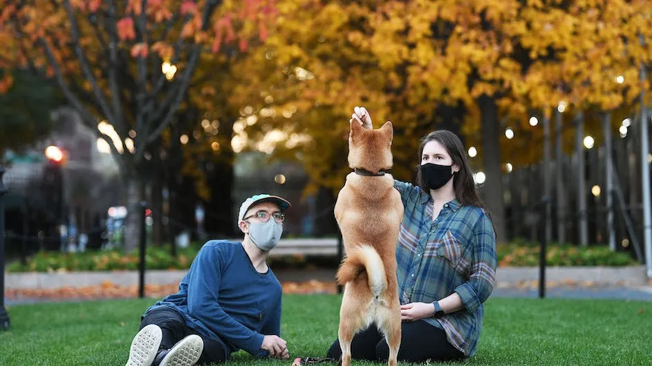 Dog jumping, Columbia University