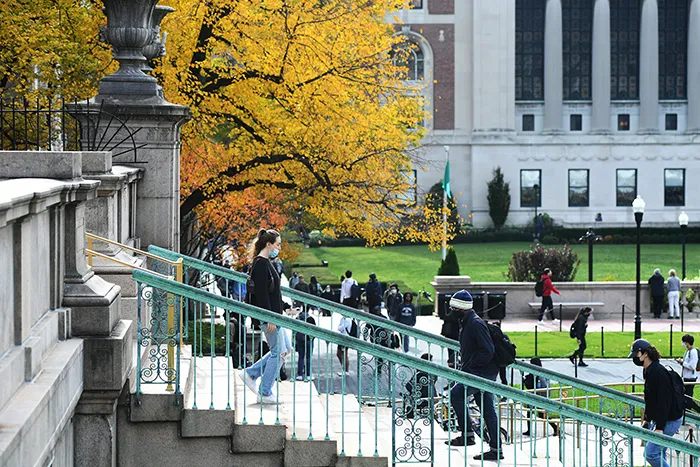 Vibrant yellow leaves behind Low Steps.