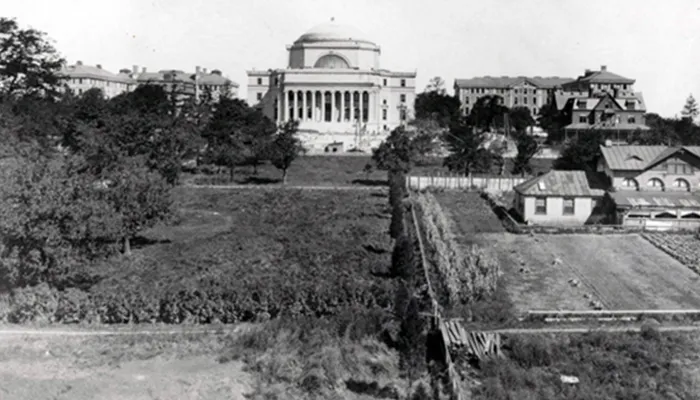 A historic photo of Morningside Campus featuring Low Library and Buell Hall