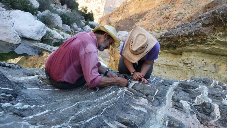 Columbia professor Peter Kelemen inspects carbonate veins.