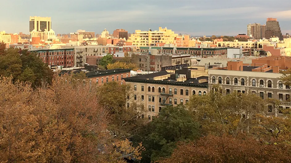 Harlem rooftops