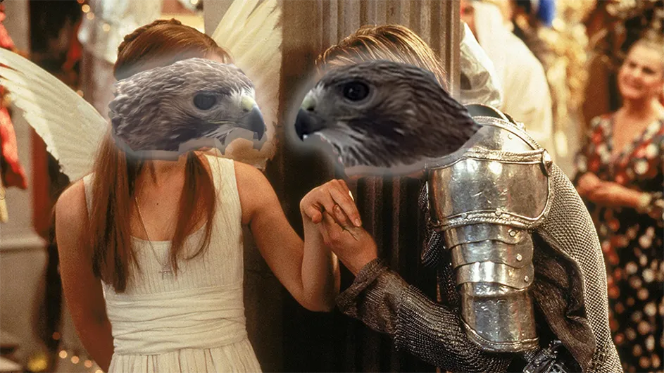 Romeo and Juliet envisioned as hawks