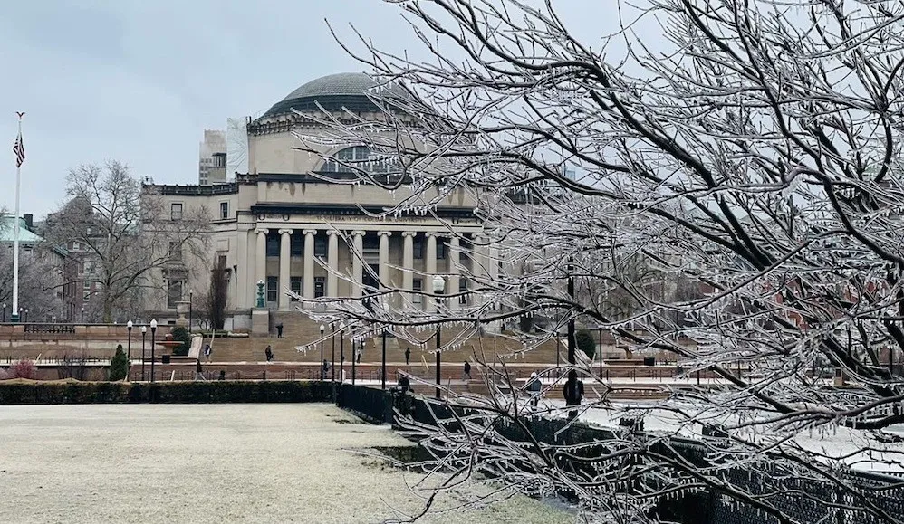 Tree with ice on Columbia's Morningside campus
