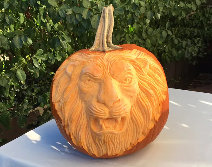 A textured lion carved into a pumpkin. 