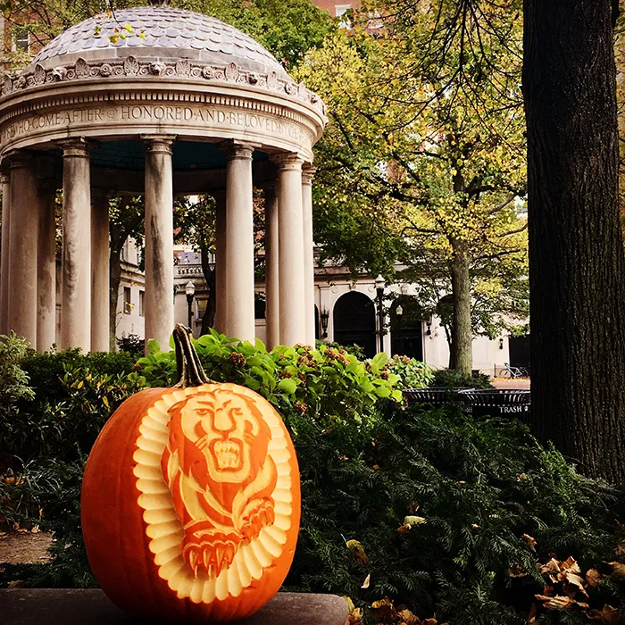 A lion pumpkin in Van Am Quad with fall foliage. 