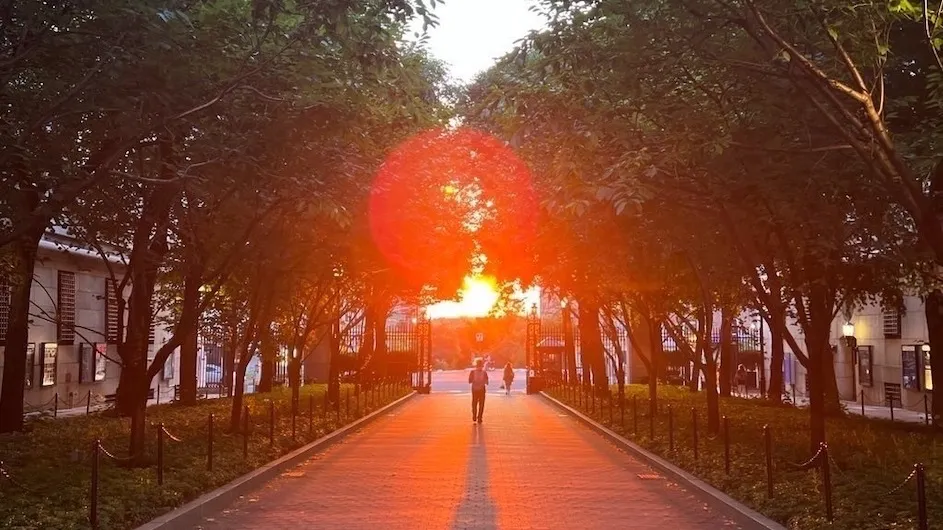 Summer sunset on college walk
