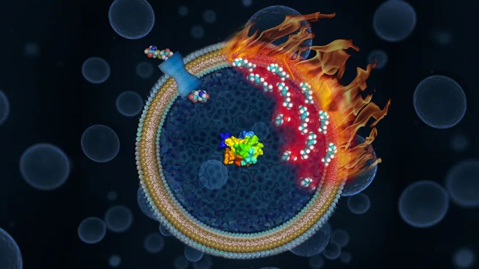 Artistic rendition of a kind of cell death called ferroptosis.