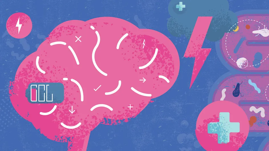Illustration of a brain