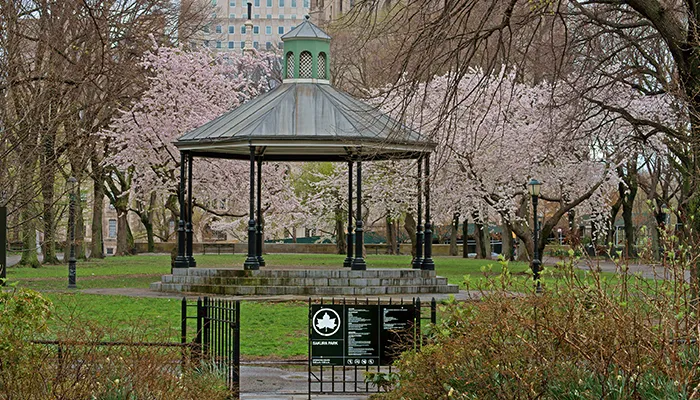 Sakura Park gazebo.