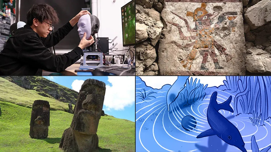 Clockwise from top left: Yuhang Hu of the Creative Machines Lab face-to-face with his robot, Emo (John Abbott/Columbia Engineering); a Moche figure with a human body and spider features carrying a goblet, painted on a pillar within the Hall of the Moche Imaginary at the Pañamarca site in northern Peru (Lisa Trever); illlustration of an elephantnose fish (Columbia's Zuckerman Institute); stone statues known as moai on Easter Island, also known as Rapa Nui (Stephanie Morcinek via Unsplash)