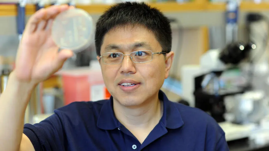 Songtao Jia, a professor of biological sciences at Columbia University