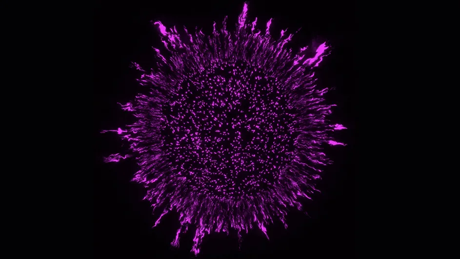 A laboratory-grown Pseudomonas aeruginosa biofilm. 3D images were acquired by an advanced light sheet theta microscopy system (ClearScope) developed in Columbia’s Department of Biological Sciences.