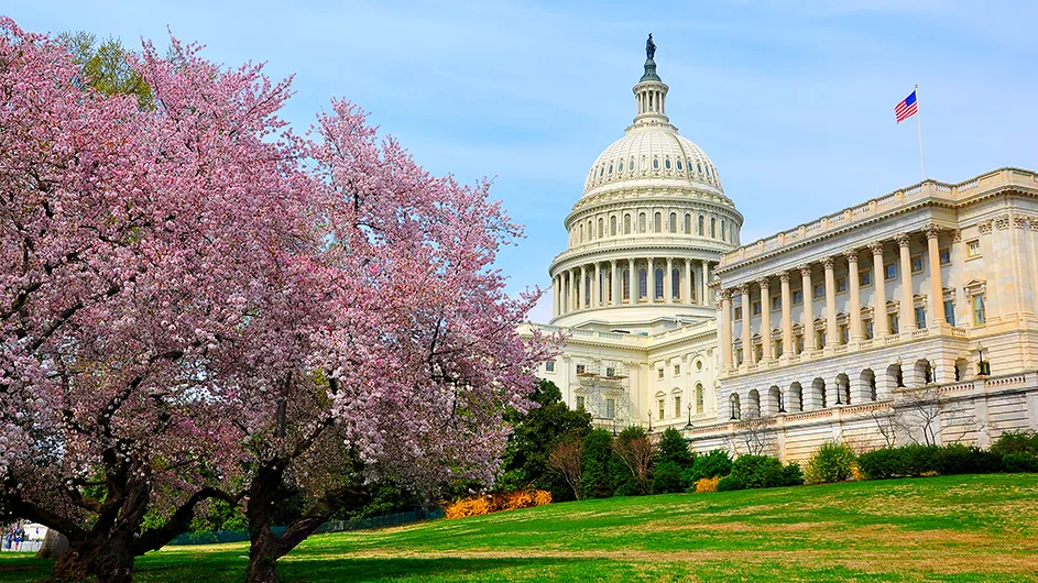 U.S. Capitol building in Washington, DC