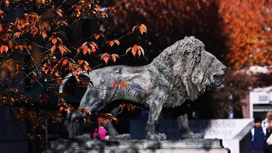 Scholars' Lion stone sculpture is surrounded by orange fall leaves at Columbia University on an autumn day. 