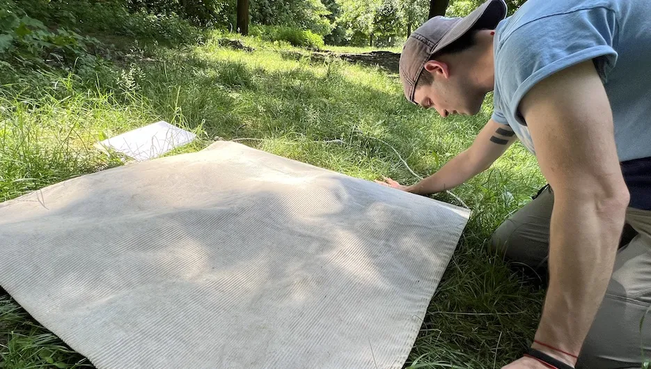 Rob Gullery, a master's student in Columbia's department of Ecology, Evolution and Environmental Biology, inspects a corduroy cloth for signs of ticks. (Christopher D. Shea)