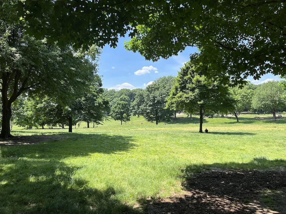 Prospect Park's Long Meadow shimmers in the late spring heat. (Christopher D. Shea)