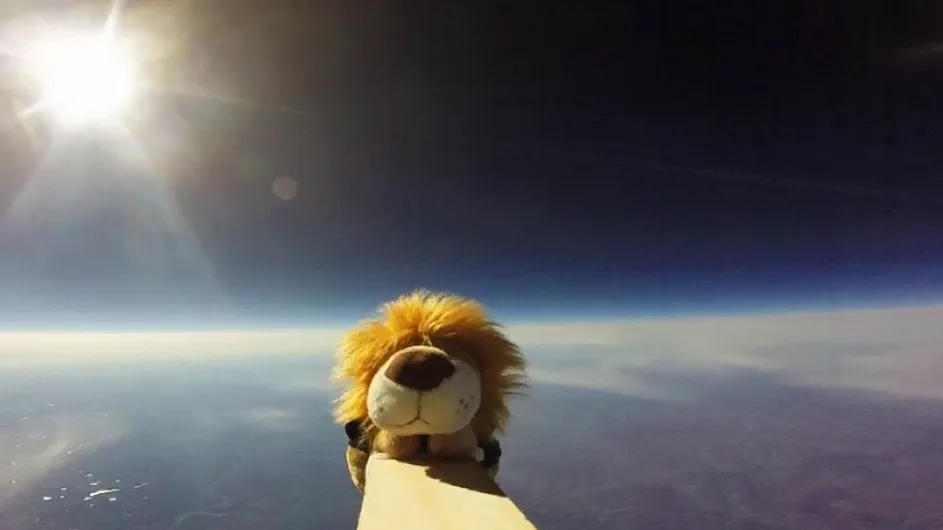 Roar-ee in Space!