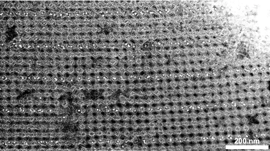 Electron microscopy image of a 3D nanoparticle assembled using DNA-programmable bonds. 