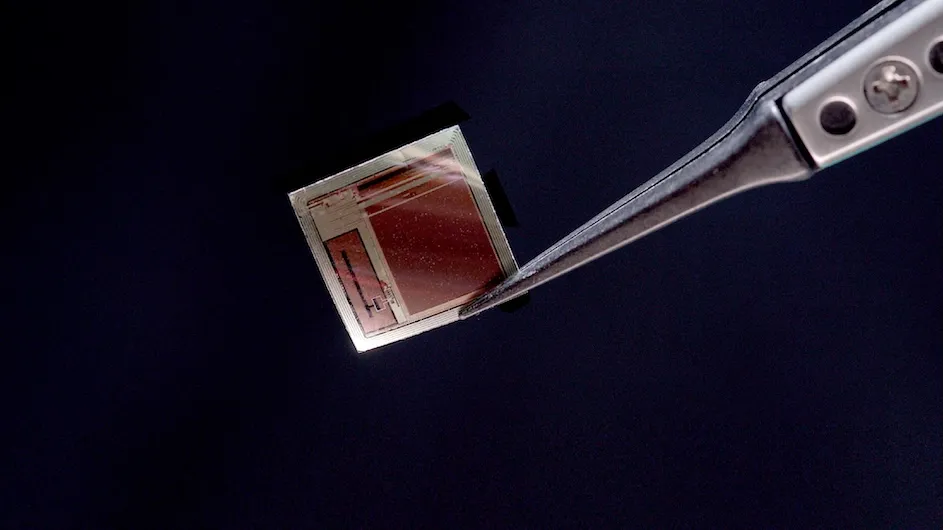 The BISC implant shown here is roughly as thick as a human hair. 