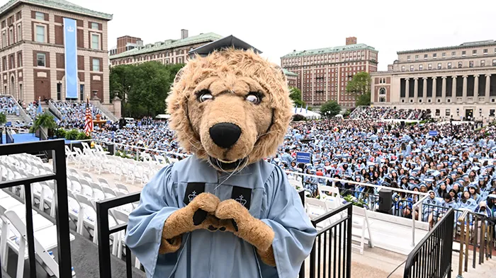 Roar-ee the Lion in Columbia regalia makes a heart with his hands in front of the Commencement crowd. 