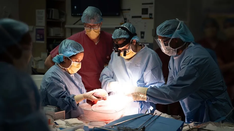 A liver graft from an altruistic living donor set off a chain of transplants that helped save the lives of three patients.
