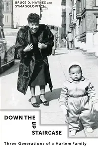 Down the Up Staircase Book cover