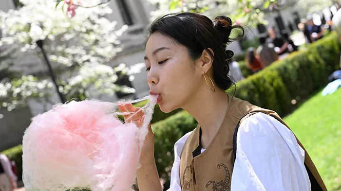 A student tastes a big pink ball of cotton candy.