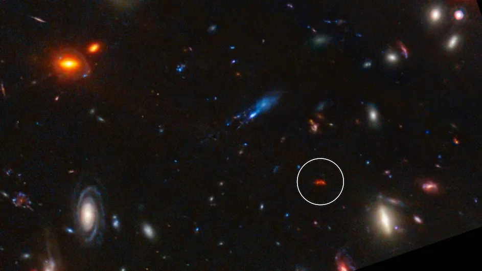 Glowing deep red from the distant past: galaxy Y1 shines thanks to dust grains heated by newly formed stars (circled in this image from the James Webb telescope).