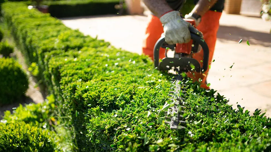 lawn-care-shutterstock