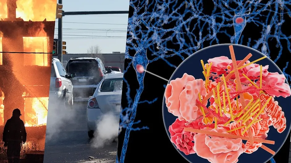 Illustration of a fire, traffic, and details of neurons in the brain.