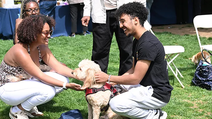 Students pet a dog