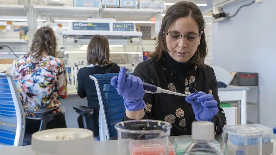 Maria Antonietta Tosches in her lab in the Fairchild building on Columbia's Morningside campus.