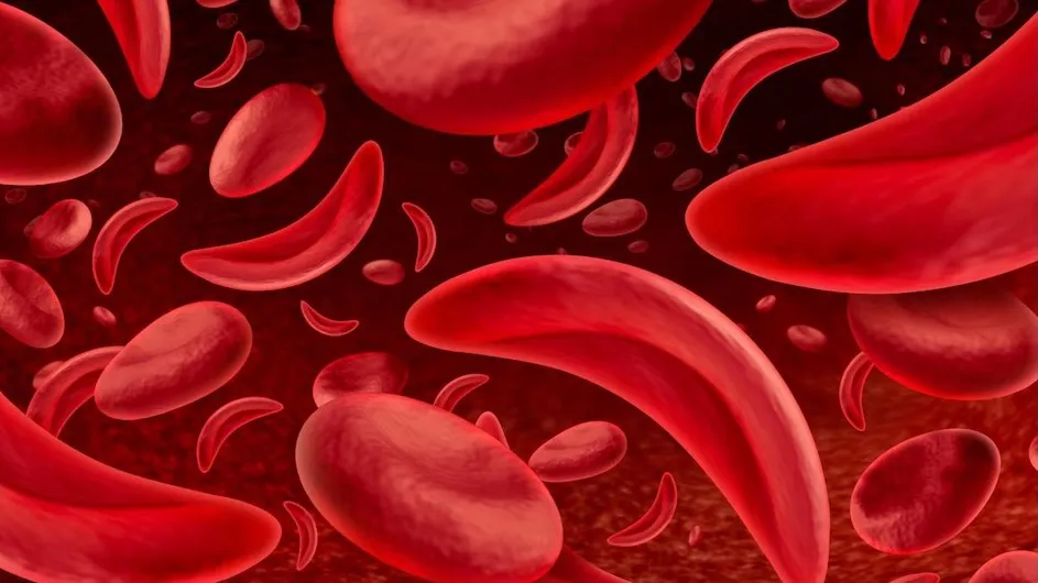 Red blood cells