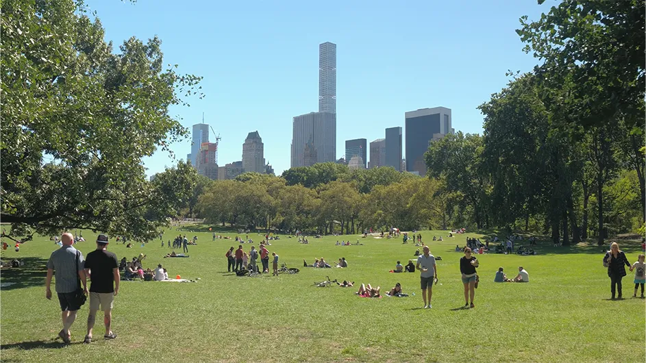 Sheep Meadow at Central Park