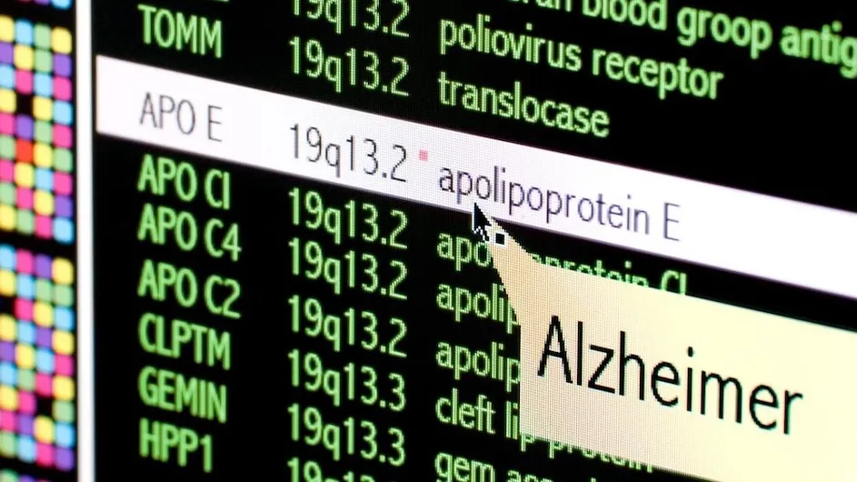Image of a screen that says "apoliprotein E"