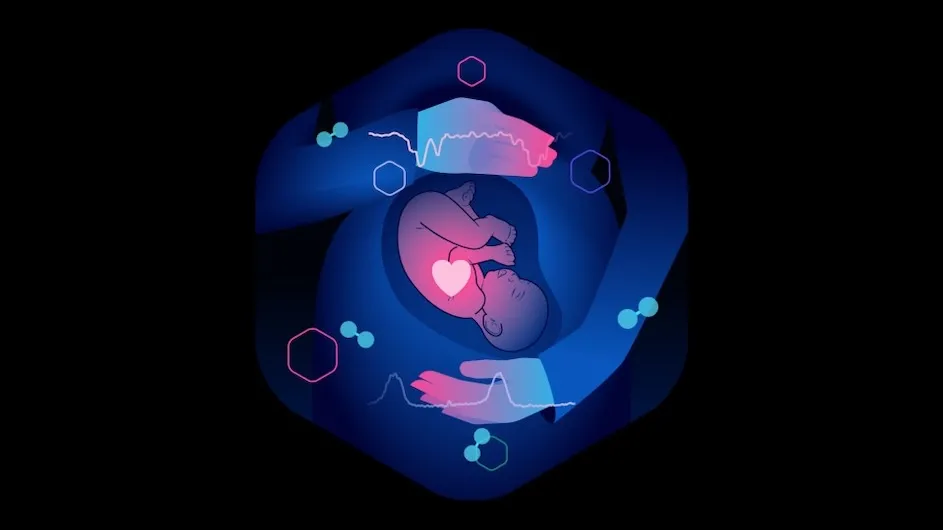Illustration of a baby in a womb.