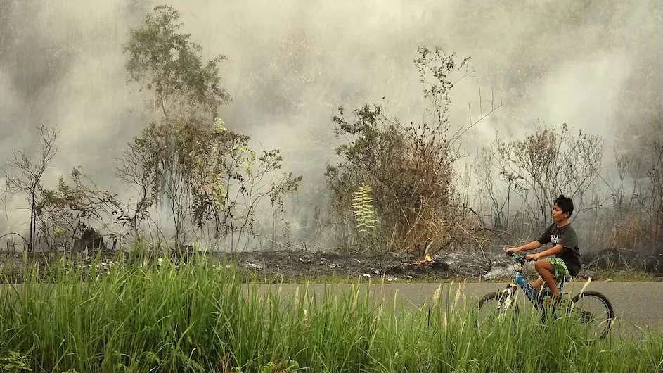 A bush fire burns along a roadside in Palangka Raya during Indonesia’s severe 2015 fire season, which was intensified by drought conditions associated with a strong El Niño. (Credit: Didindan Bintang / iStock)