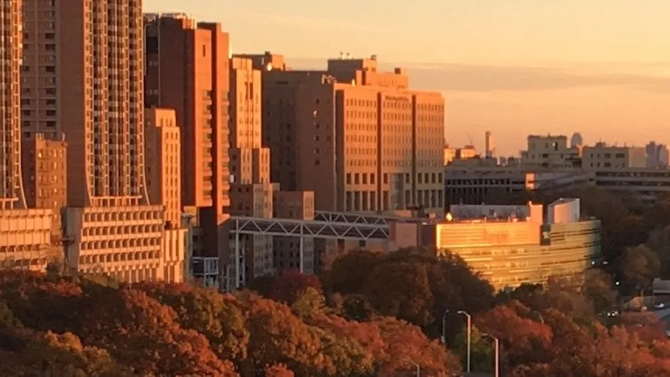 The Columbia medical campus