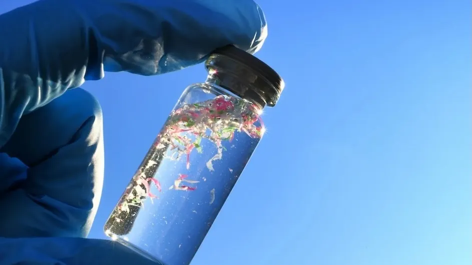 A person holding a small container of water with microplastics floating in it.
