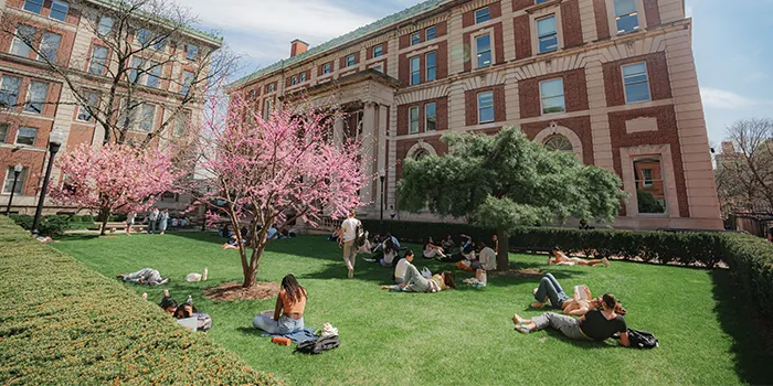 Students relax on the quad