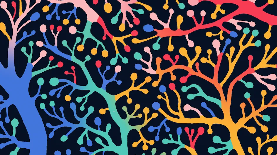 A collage of neurons