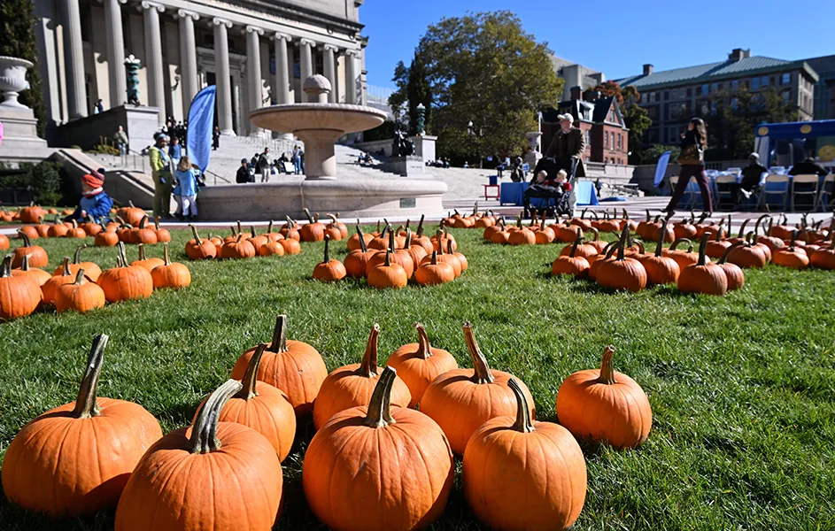 Orange You Glad It’s Fall?
